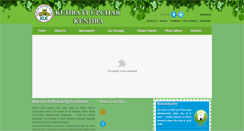 Desktop Screenshot of naturalcarekutch.com